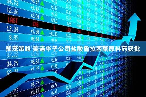鼎茂策略 美诺华子公司盐酸鲁拉西酮原料药获批