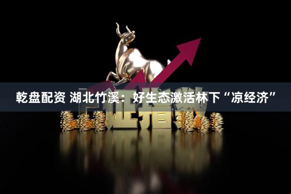 乾盘配资 湖北竹溪：好生态激活林下“凉经济”