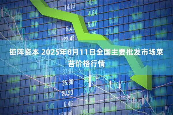 钜阵资本 2025年8月11日全国主要批发市场菜苔价格行情