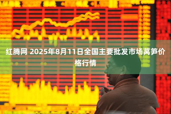 红腾网 2025年8月11日全国主要批发市场莴笋价格行情