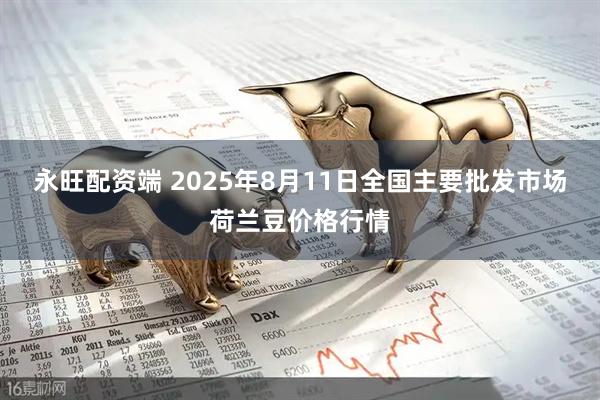 永旺配资端 2025年8月11日全国主要批发市场荷兰豆价格行情