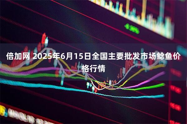 倍加网 2025年6月15日全国主要批发市场鲶鱼价格行情