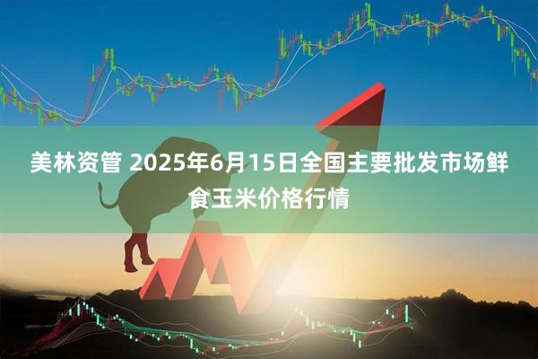 美林资管 2025年6月15日全国主要批发市场鲜食玉米价格行情
