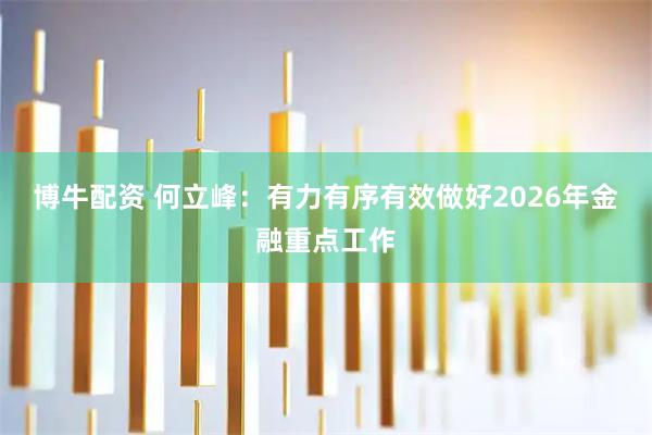 博牛配资 何立峰：有力有序有效做好2026年金融重点工作